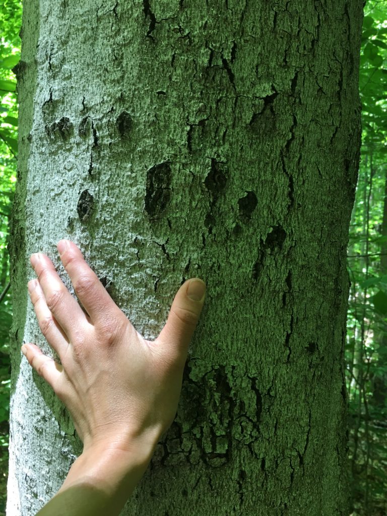 Maine Lakes Sweetheart Snowshoe at Highland I’m with the