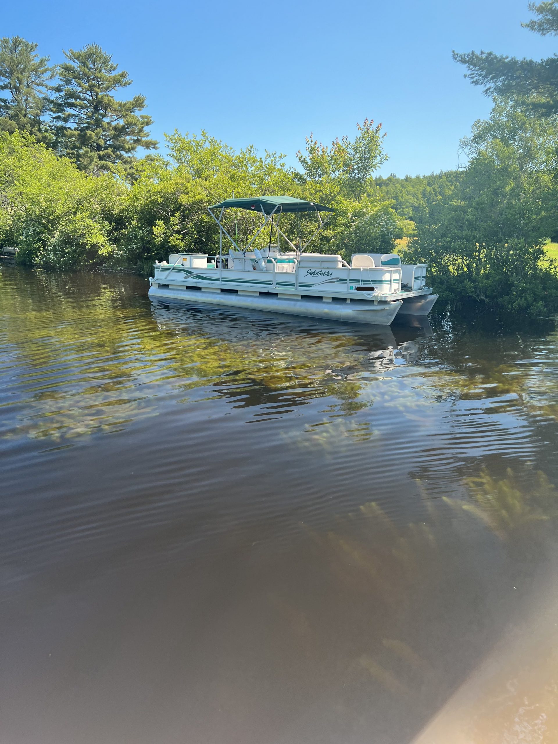 Maine Lakes Milfoil Progress Report