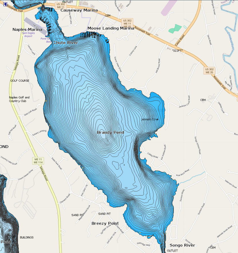 Maine Lakes Brandy Pond
