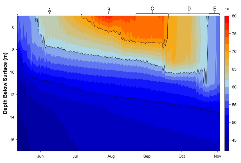 Maine Lakes Trickey Pond High Resolution Temperature Monitoring